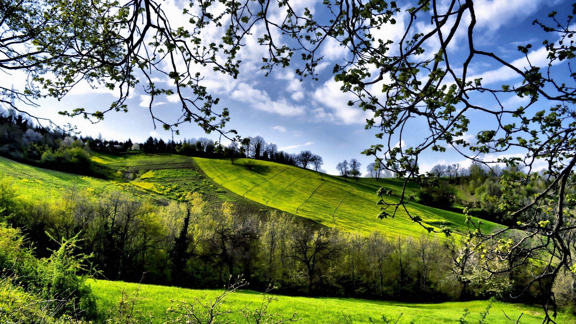 Скачать 1920x1080 весна, поля, деревья, зелень обои, картинки full hd,  hdtv, fhd, 1080p