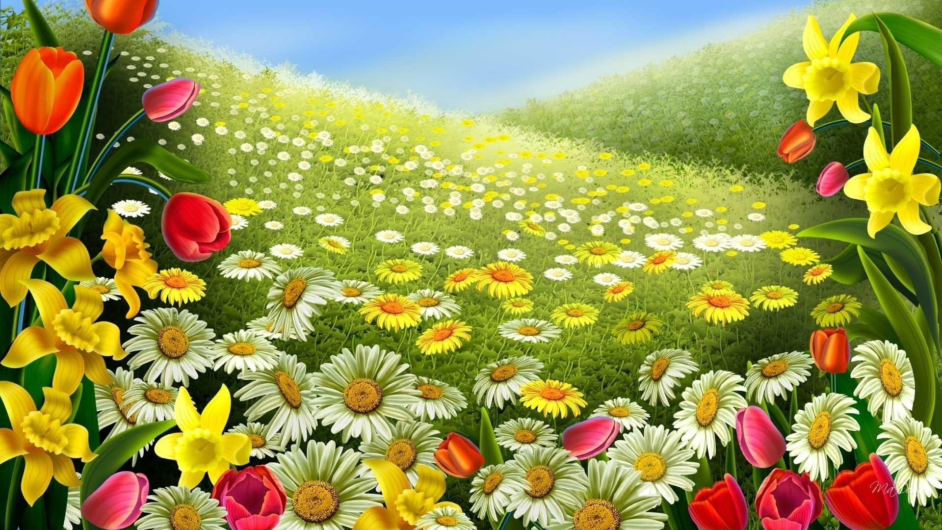 Картинки луг, весна, природа, картинка, поле, цветы, ромашки, тюльпаны,  фотошоп, тема - обои 1920x1080, картинка №89440