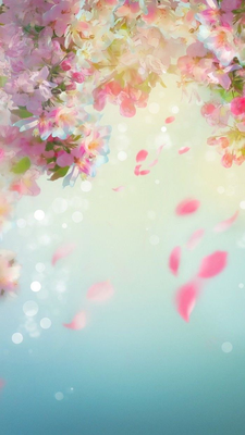 весна-цветы-обои-розовый-цветущий-цветы-телефон-обои-синий-фон | Spring  wallpaper, Flower phone wallpaper, Art wallpaper