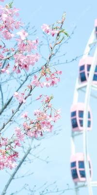 Картинки весна для телефона фотографии