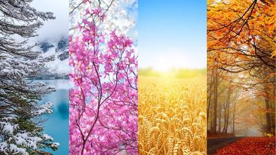 Зима, весна, лето, осень,» — создано в Шедевруме