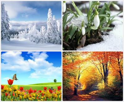 Рисунок зима весна лето осень - 74 фото