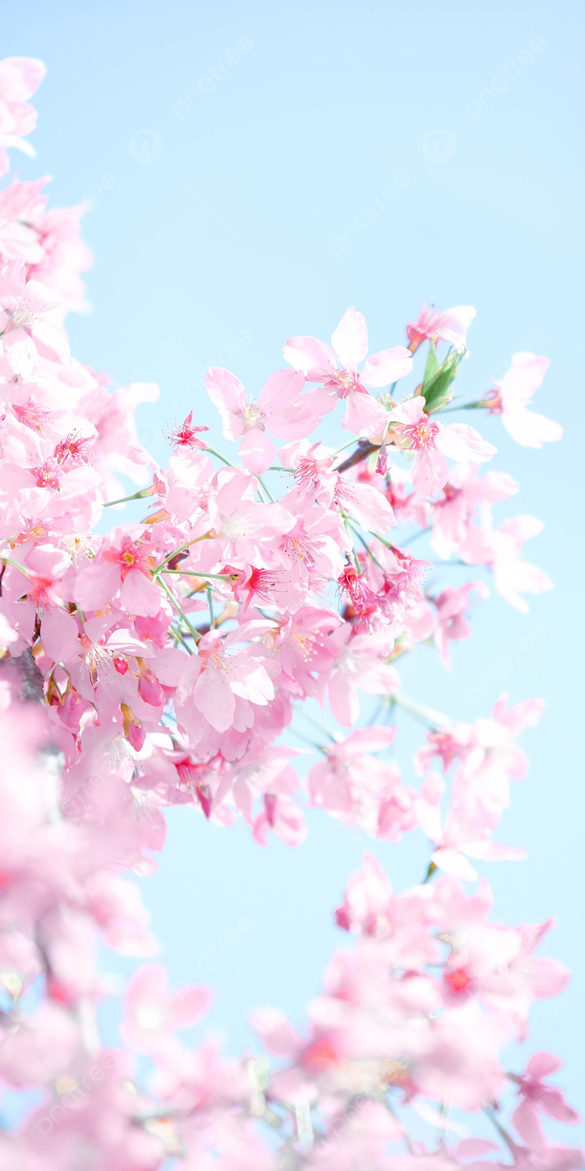Весна -это сплошные заставки на телефон!) . #бруннера | Instagram