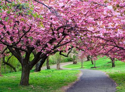 Фото Пейзаж весна, более 96 000 качественных бесплатных стоковых фото