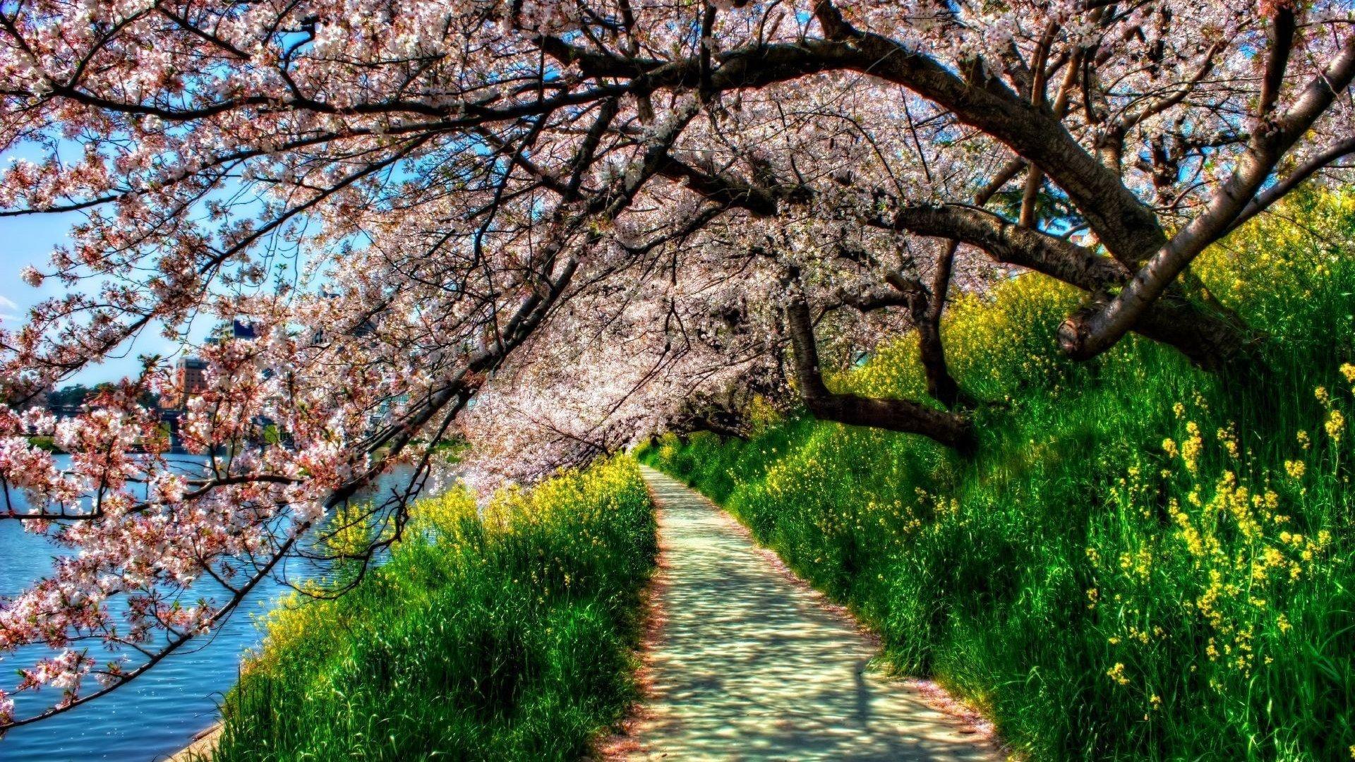 Природа, Весна - Красивые Бесплатные фото обои для рабочего стола windows  #12