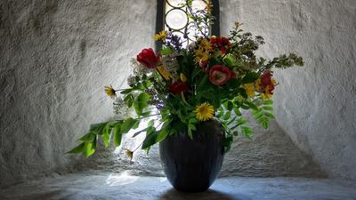 Картинки подснежники, весна, цветы - обои 1366x768, картинка №386798