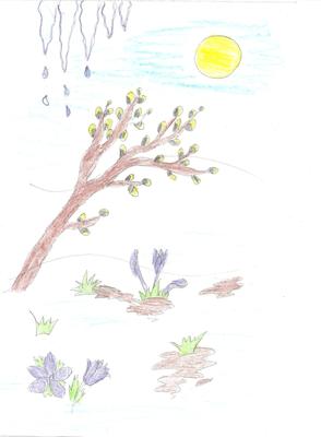 Мастер-класс по рисованию цветными карандашами «Берёза весной» с детьми  старшего дошкольного возраста (17 фото). Воспитателям детских садов,  школьным учителям и педагогам - Маам.ру