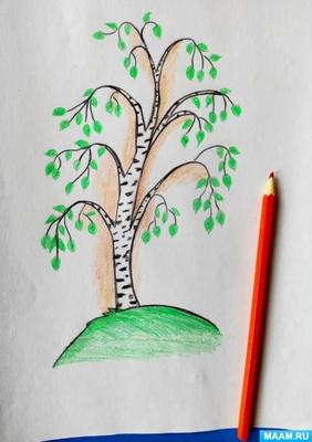 Рисунок весна легкий карандашом для начинающих (48 фото) » рисунки для  срисовки на Газ-квас.ком
