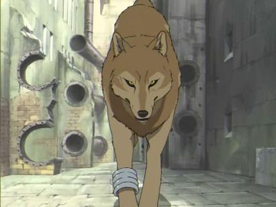 Волчий дождь – смотреть аниме онлайн в хорошем качестве на animakima.ru