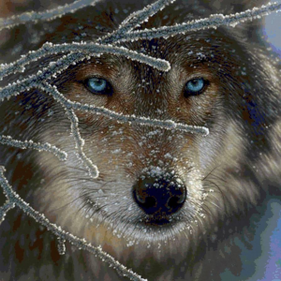 Предпросмотр схемы вышивки «Волк зимой» (№114903) - Вышивка крестом