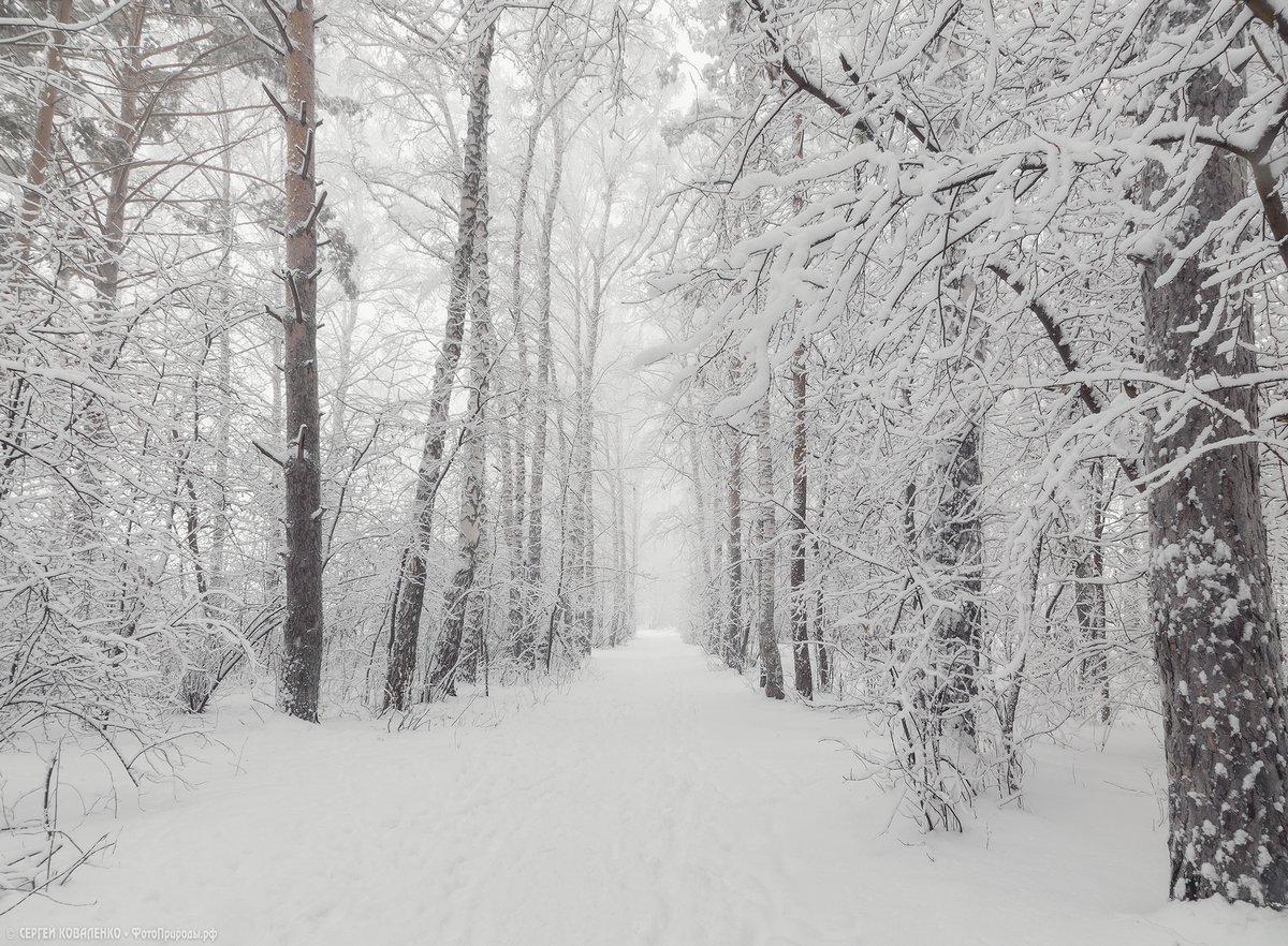 Волшебная зима 😍 #kelinki_kg_pozitiv | Instagram