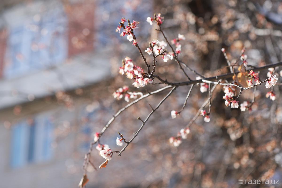 Картинки воскресенье красивые весна (55 фото) » Картинки и статусы про  окружающий мир вокруг