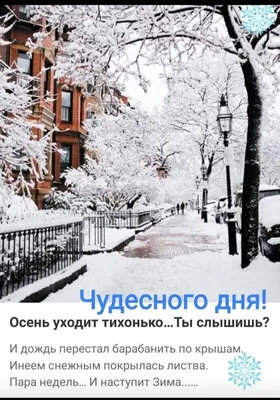 Зима уходит? О погоде в первые дни марта рассказали синоптики - 26.02.2023,  Sputnik Беларусь