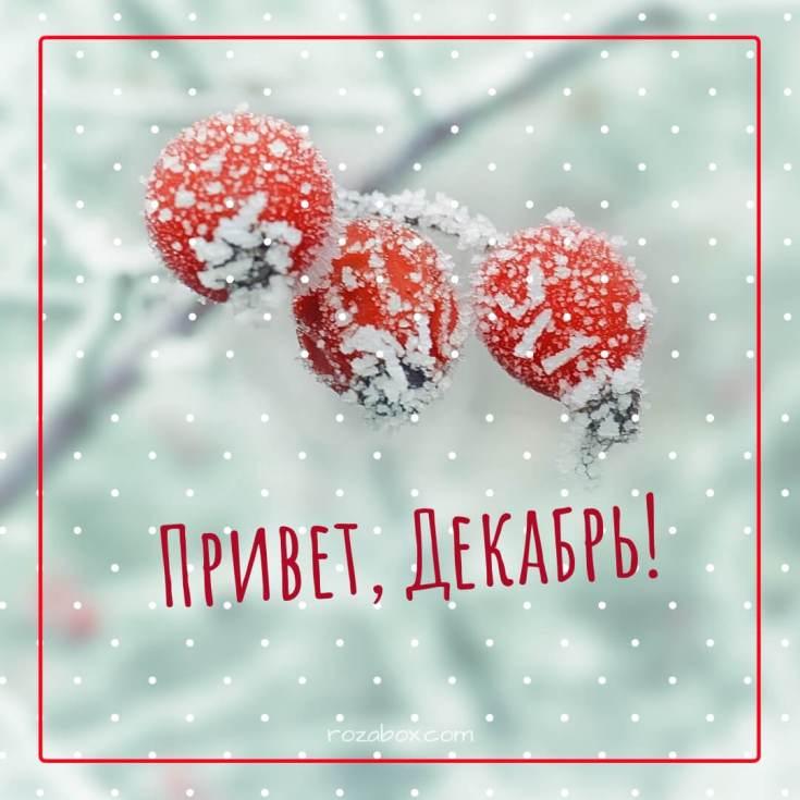 Woman.ru - Вот и наступила зима!)) #настроениезима #зима #счастье #женщины  #первоедекабря | Facebook