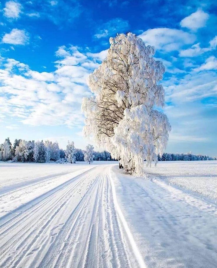 Зима – это чарующее время года, завораживающе чистая природа, окутанная в  белоснежные одежды. | Winter scenery, Winter landscape, Winter pictures