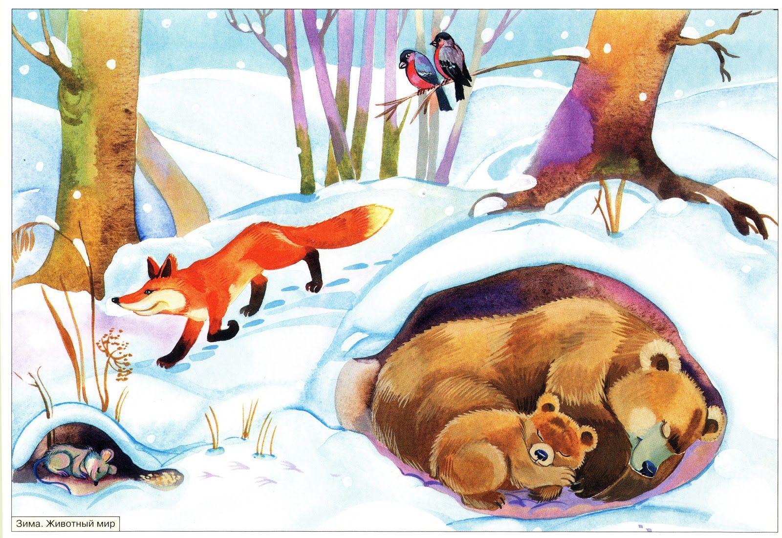 времена года зима для детей - Google Търсене | Зима, Рисунки, Детские  рисунки