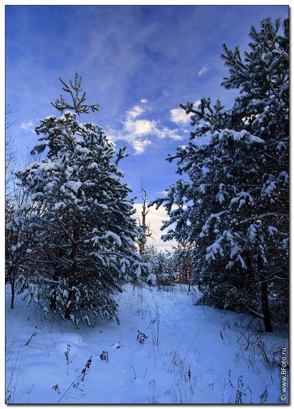 ₴ Купить картину пейзаж: Зимний пейзаж — художник Шультце Иван