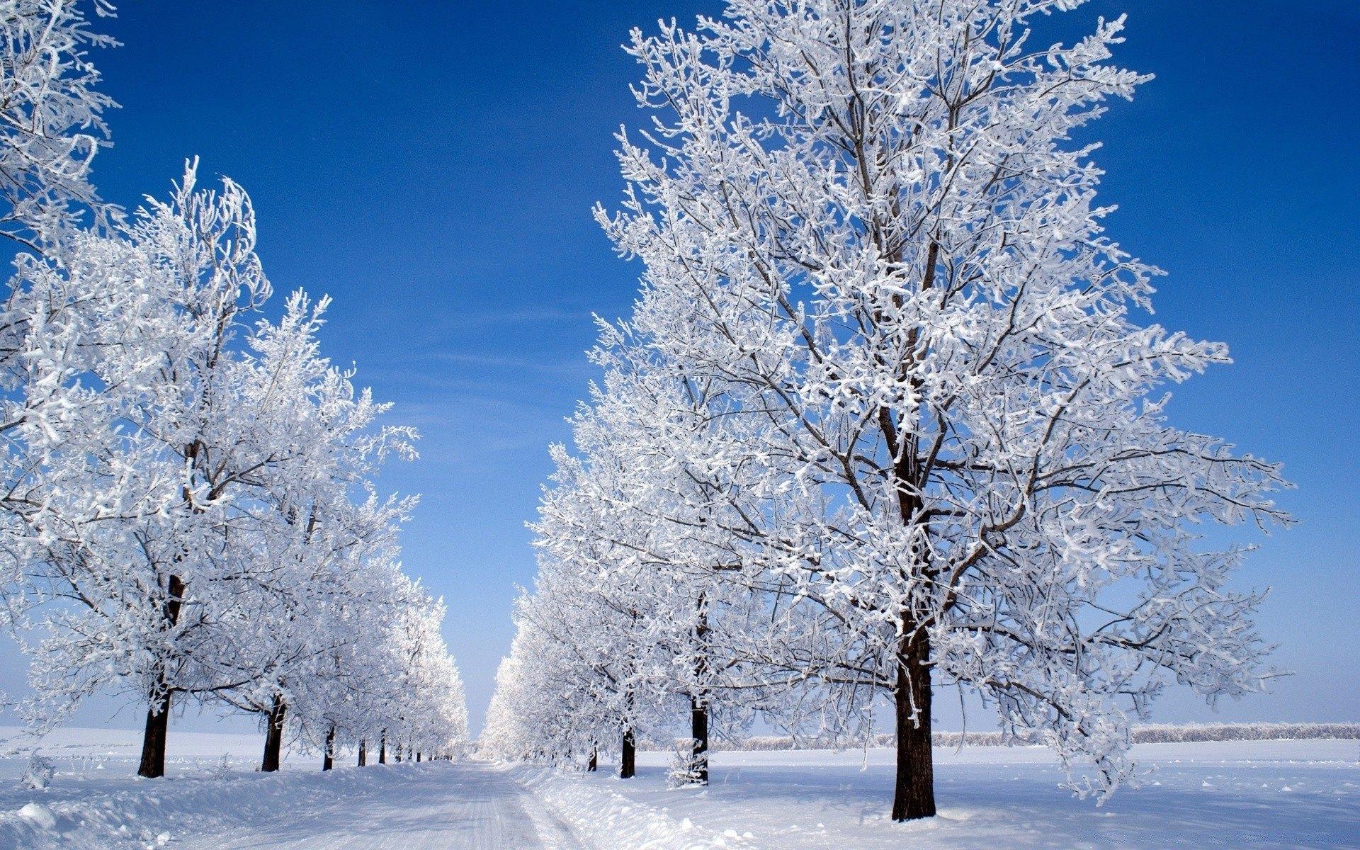 Обои Природа зимой, картинки - Обои для рабочего стола Природа зимой фото  из альбома: (природа)