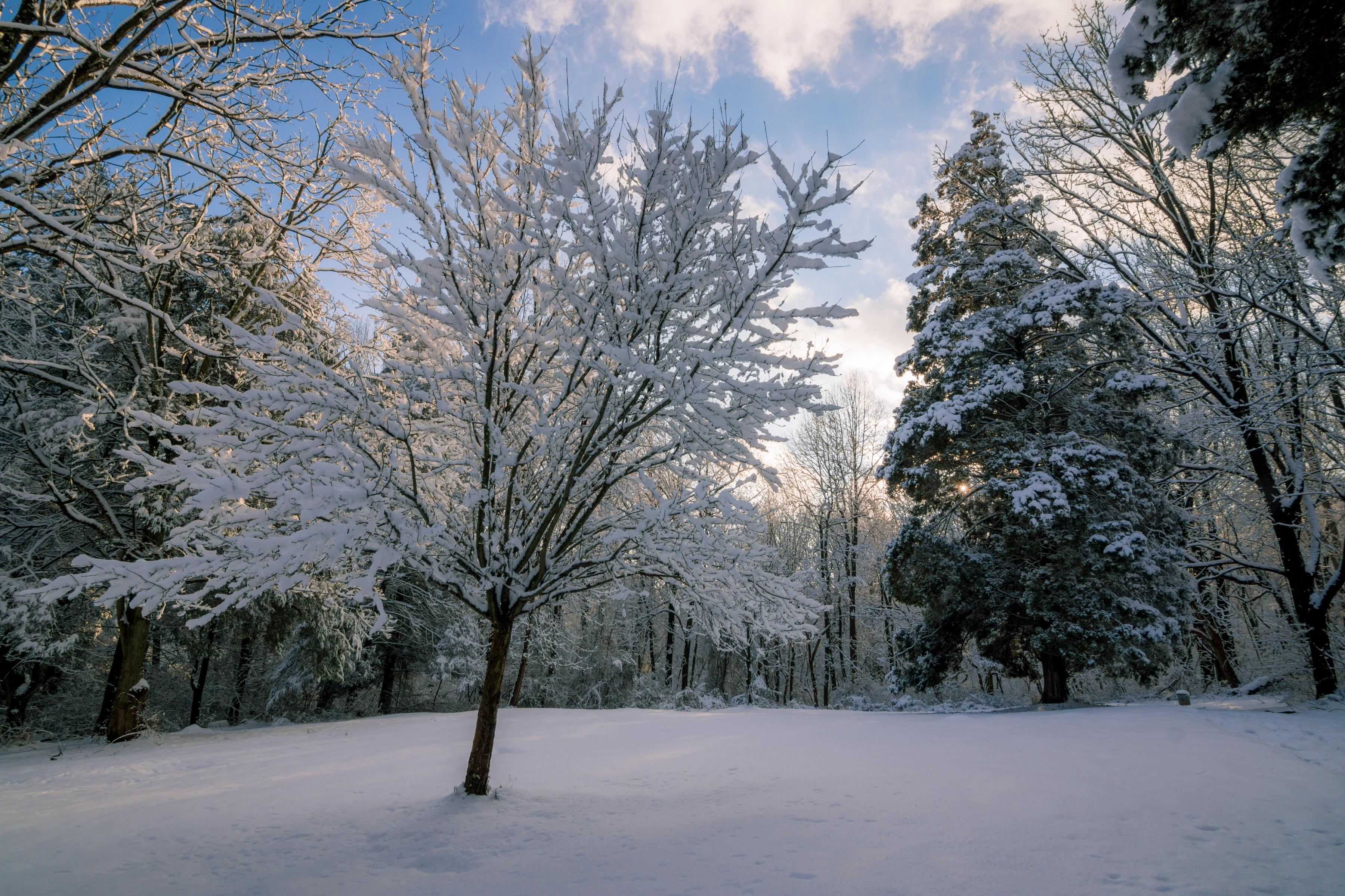 Обои зима, сугробы на телефон высокого качества · бесплатная фотография