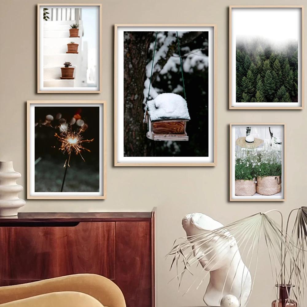 обои : снег, Зима, пара, Погода, Коты, поцелуй 2560x1675 - CoolWallpapers -  575475 - красивые картинки - WallHere
