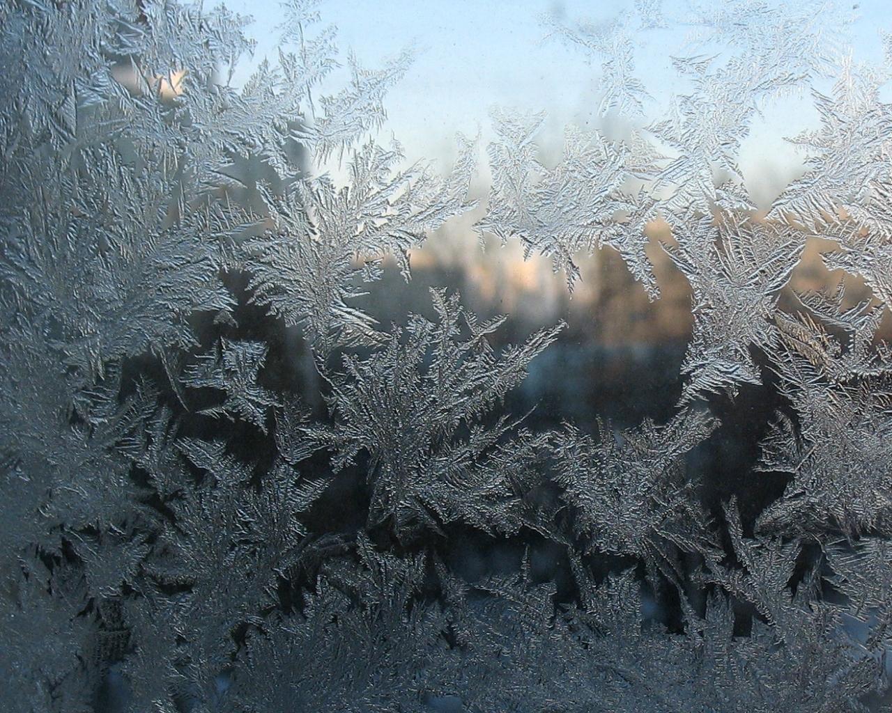 Абстракция, зима, холод, лед, Scratchy, голубой, твердый, холодный, белый,  уникальные, дерево, дерево, снег, малый, Bitin иголки. Стоковое Фото -  изображение насчитывающей зима, прозрачно: 166559298