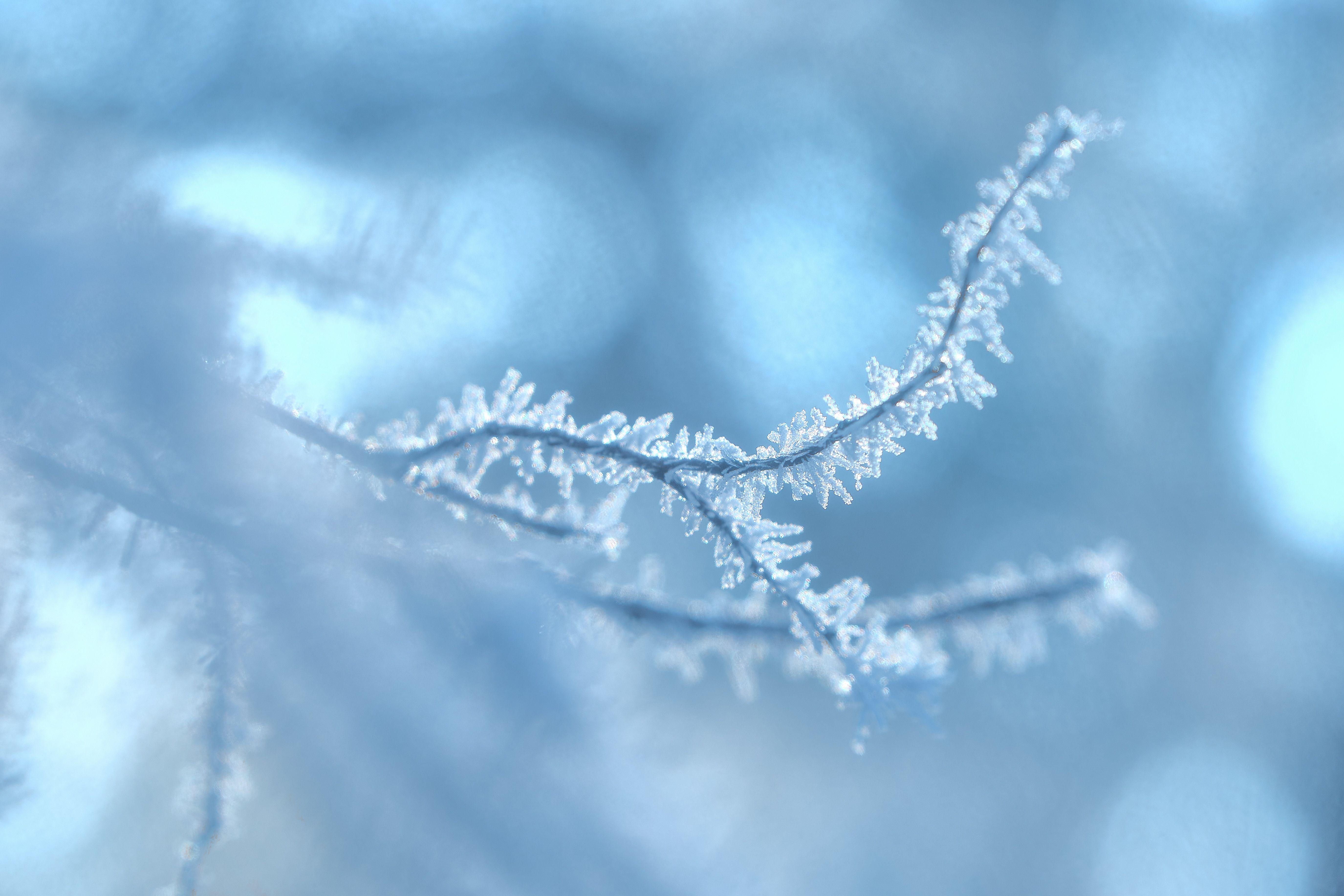 Зима Лед Изморозь Абстрактный Фон Фотография, картинки, изображения и  сток-фотография без роялти. Image 48011824