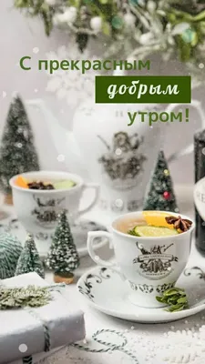 Натюрморт зимы: чашка кофе и раскрытая книга Стоковое Изображение -  изображение насчитывающей настроение, рождество: 102428695