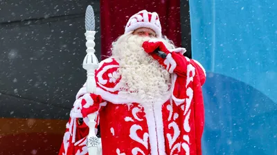 Большие Новогодние фигуры Дед Мороз, Снегурочка, Ёлочка, Снеговик - купить  за 214 800.00Р в Пневмо-Сити