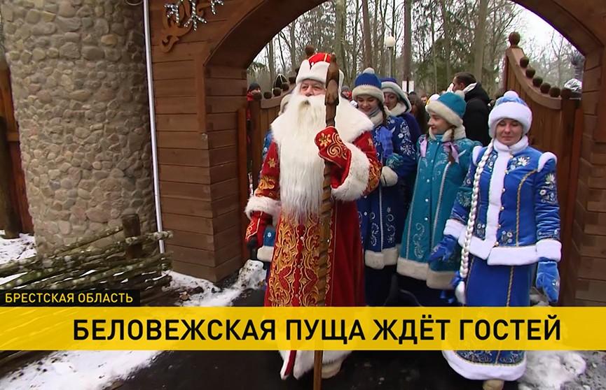 Дед Мороз - новогодние большие фигуры каркасные, светодиодные, из  стеклопластика, текстиля купить в Москве