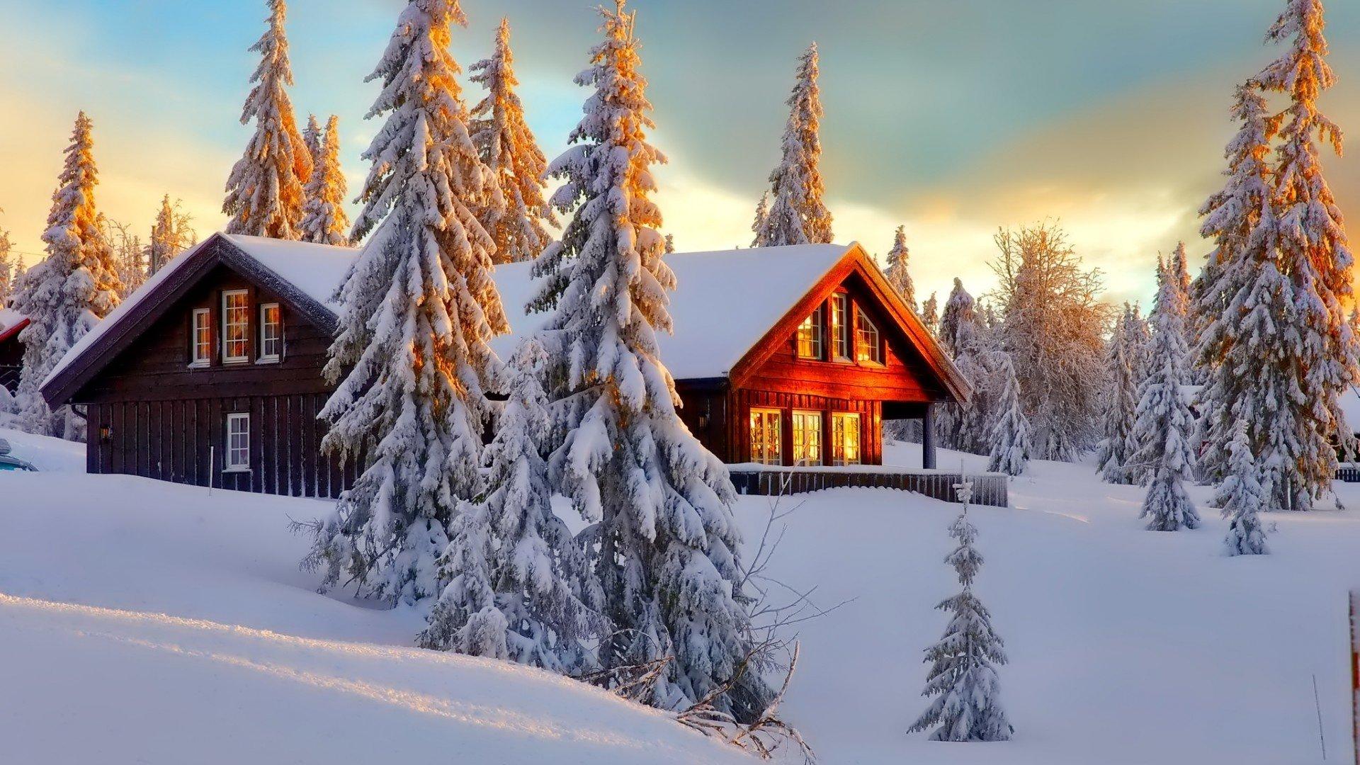 Обои зима, лес, снег, деревья, ночь, природа, дом, путешествия на телефон и  рабочий стол, раздел пейзажи, разрешение 5184x3456 - скачать