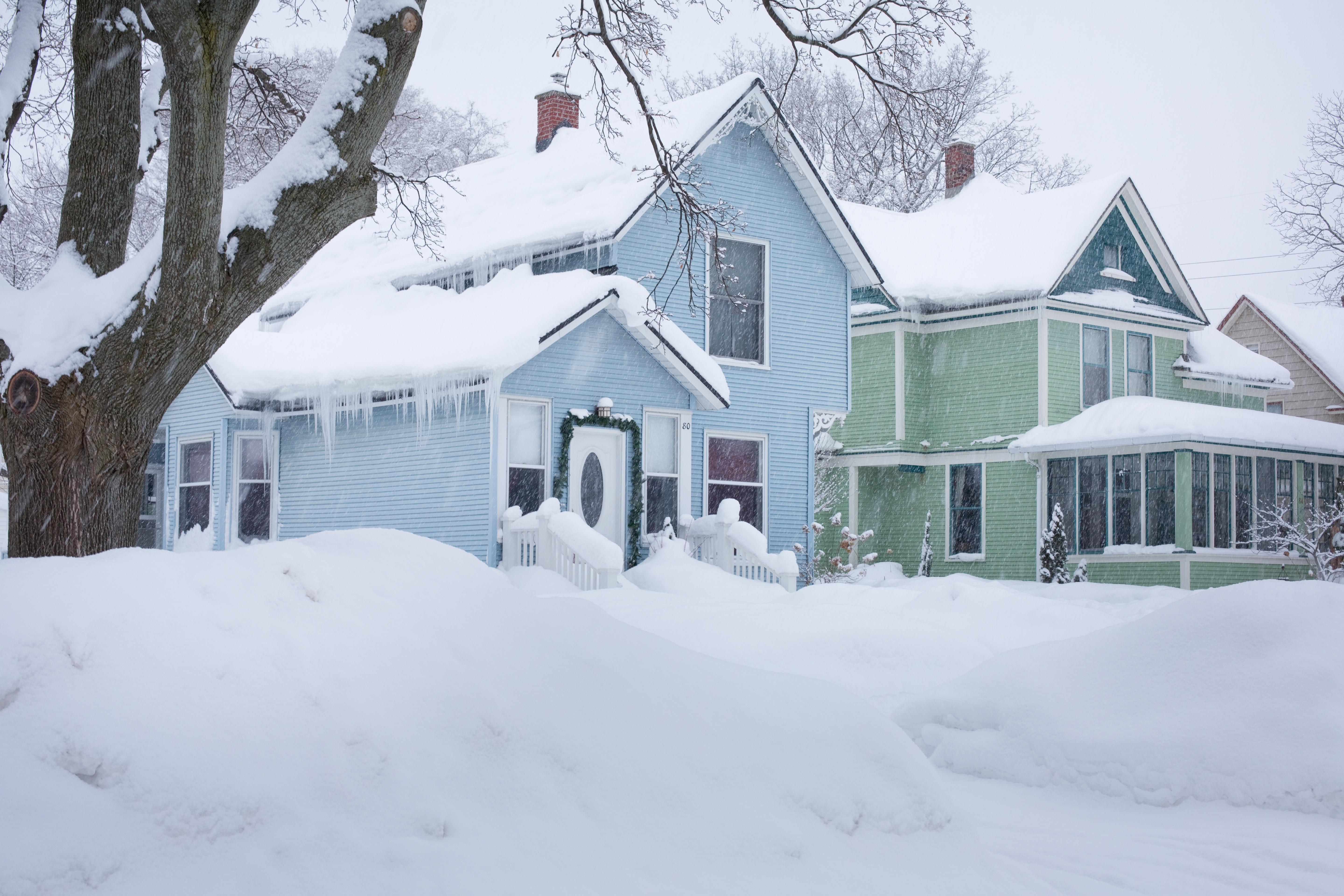 Владимирский фотограф Владислав Тябин провел зиму в деревенском доме на  окраине леса