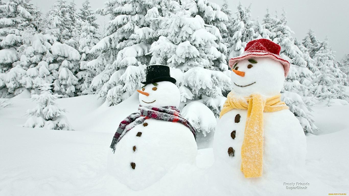 Фото Зима Двое шляпы Природа снега снеговик 1366x768