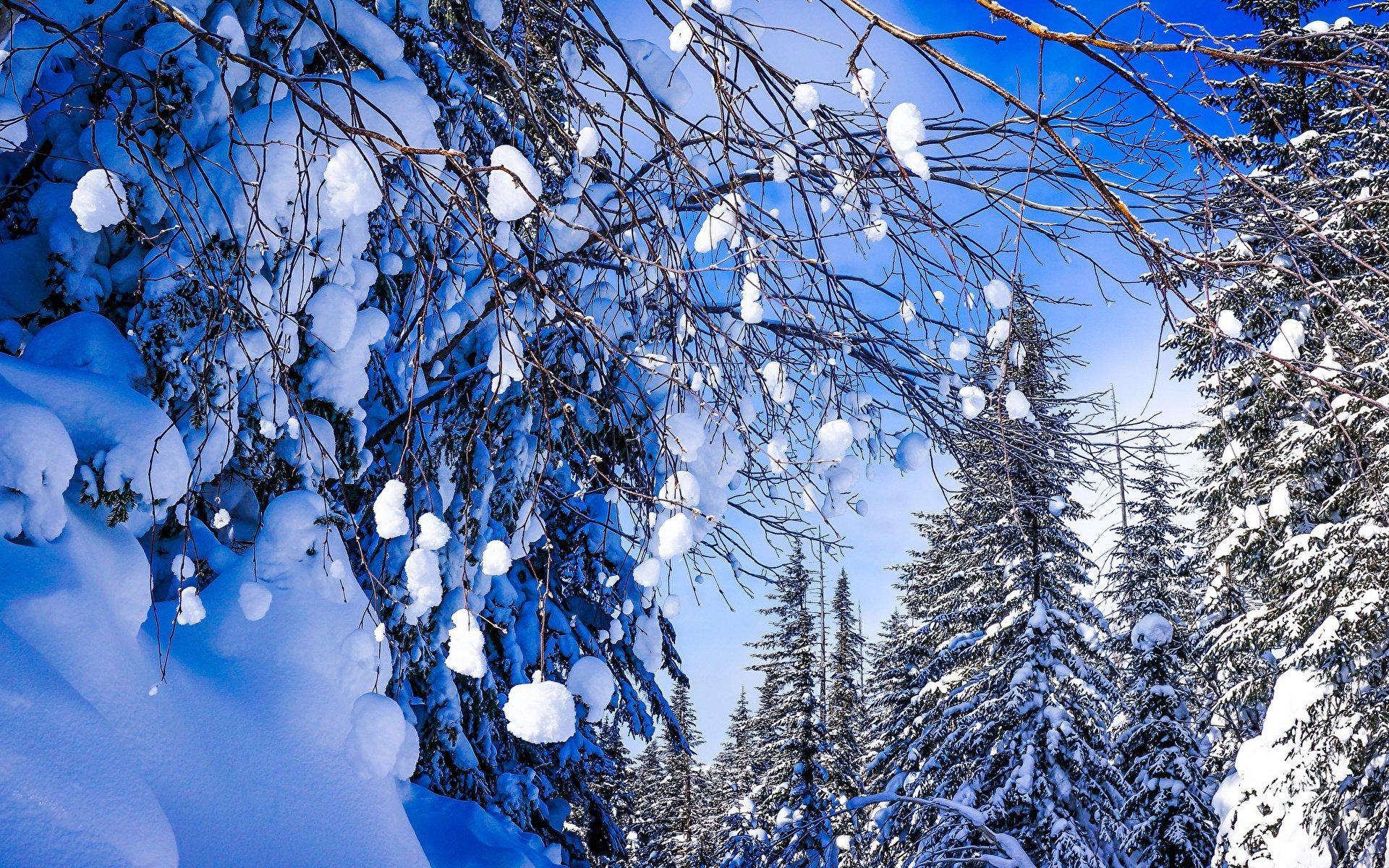 Зима февраль (140 фото) - 140 фото