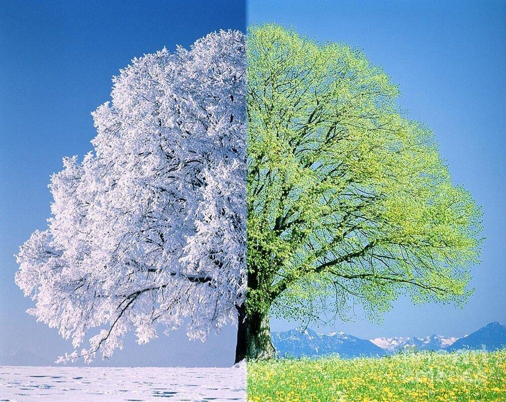 Картинки зима лето фотографии