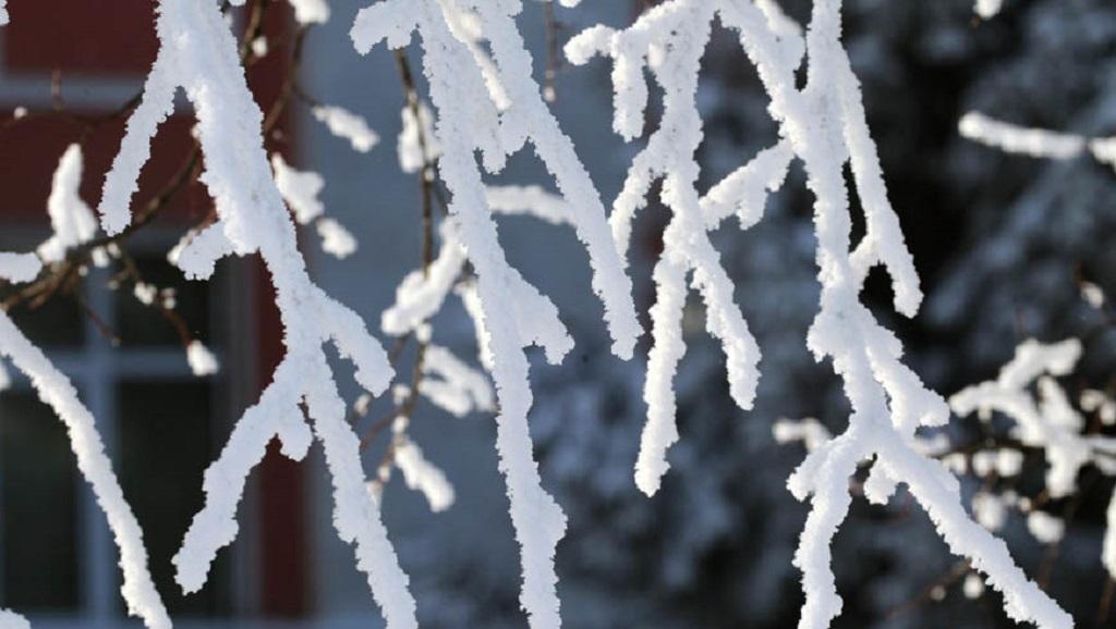 Похолодание до -11, снег и гололед: зима не хочет уходить из Новосибирска -  KP.RU