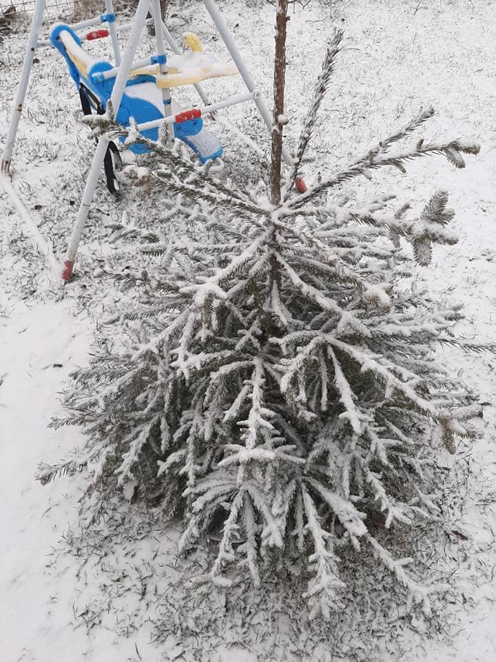 Зима не хочет уходить - снег выпал в южной Якутии - YakutiaMedia.ru
