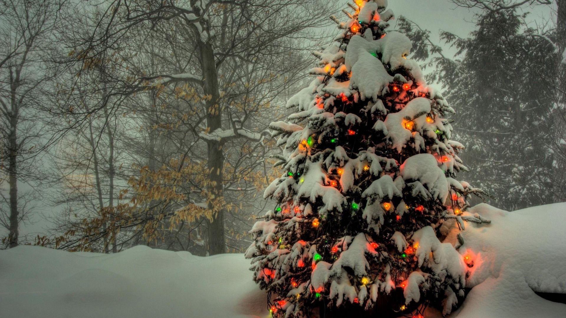 Скачать 1920x1080 елка, гирлянды, новый год, рождество, деревья, снег, зима,  праздник обои, картинки full hd, hdtv, fhd, 1080p