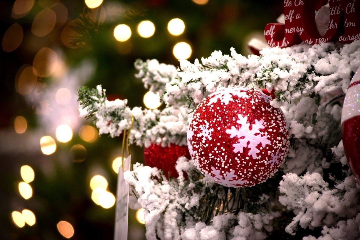 Скачать обои зима, снег, елка, Новый Год, Рождество, Christmas, шишки,  wood, winter, snow, decoration, Merry, раздел новый год в ра… | Обои,  Фрески, Фоновые рисунки