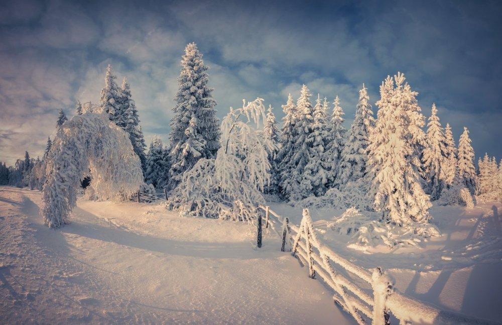 Зима , лес, Новый год, снег | Winter snow wallpaper, Winter wallpaper,  Iphone wallpaper winter
