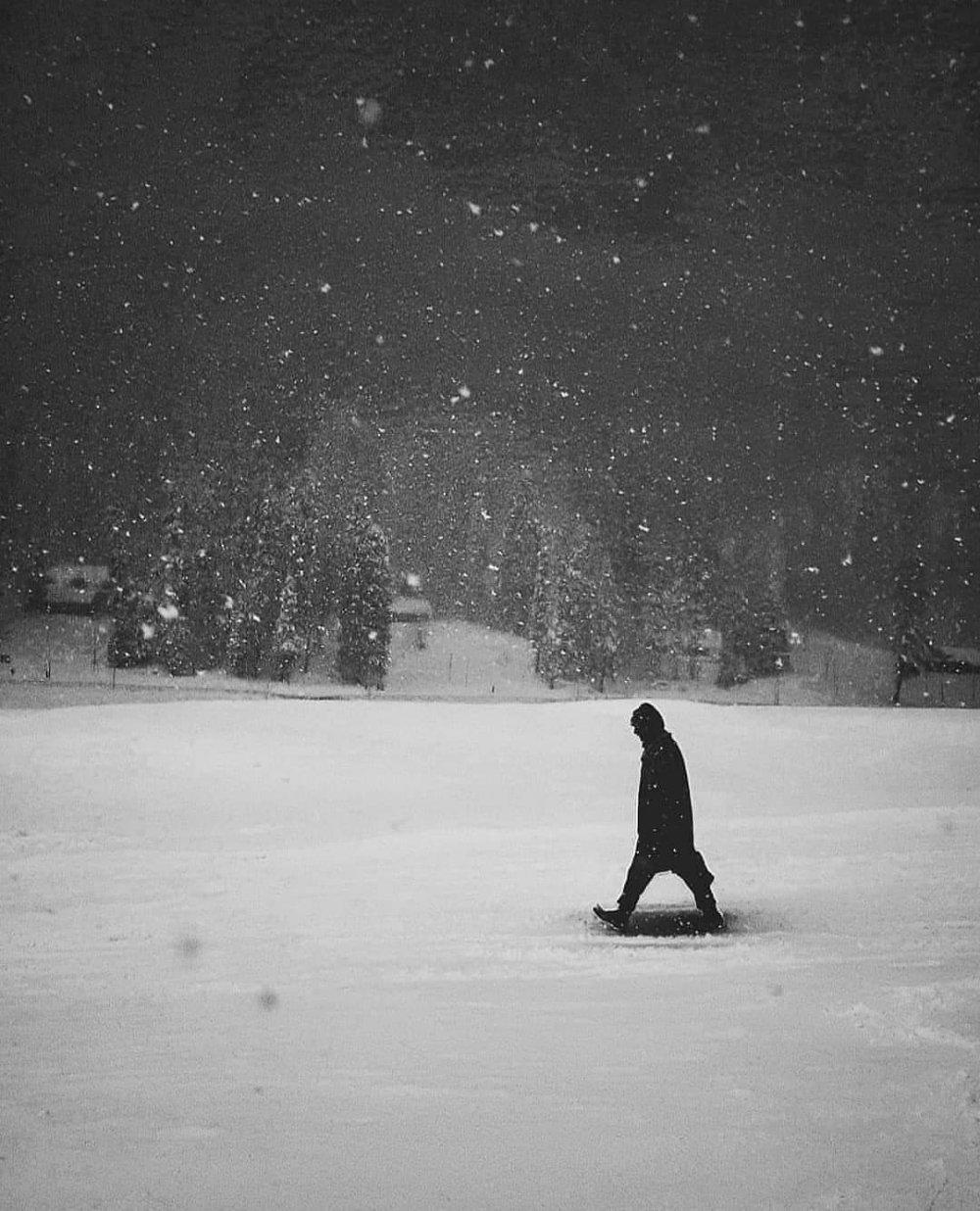 Зима одиночество любит... :: *MIRA* ** – Социальная сеть ФотоКто