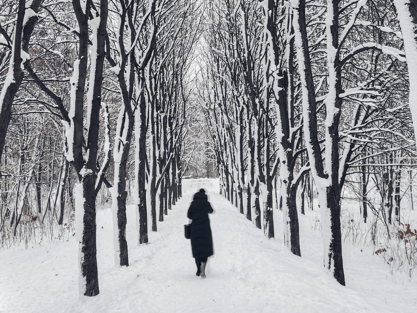Одиночество зимы стоковое изображение. изображение насчитывающей ясность -  27903567