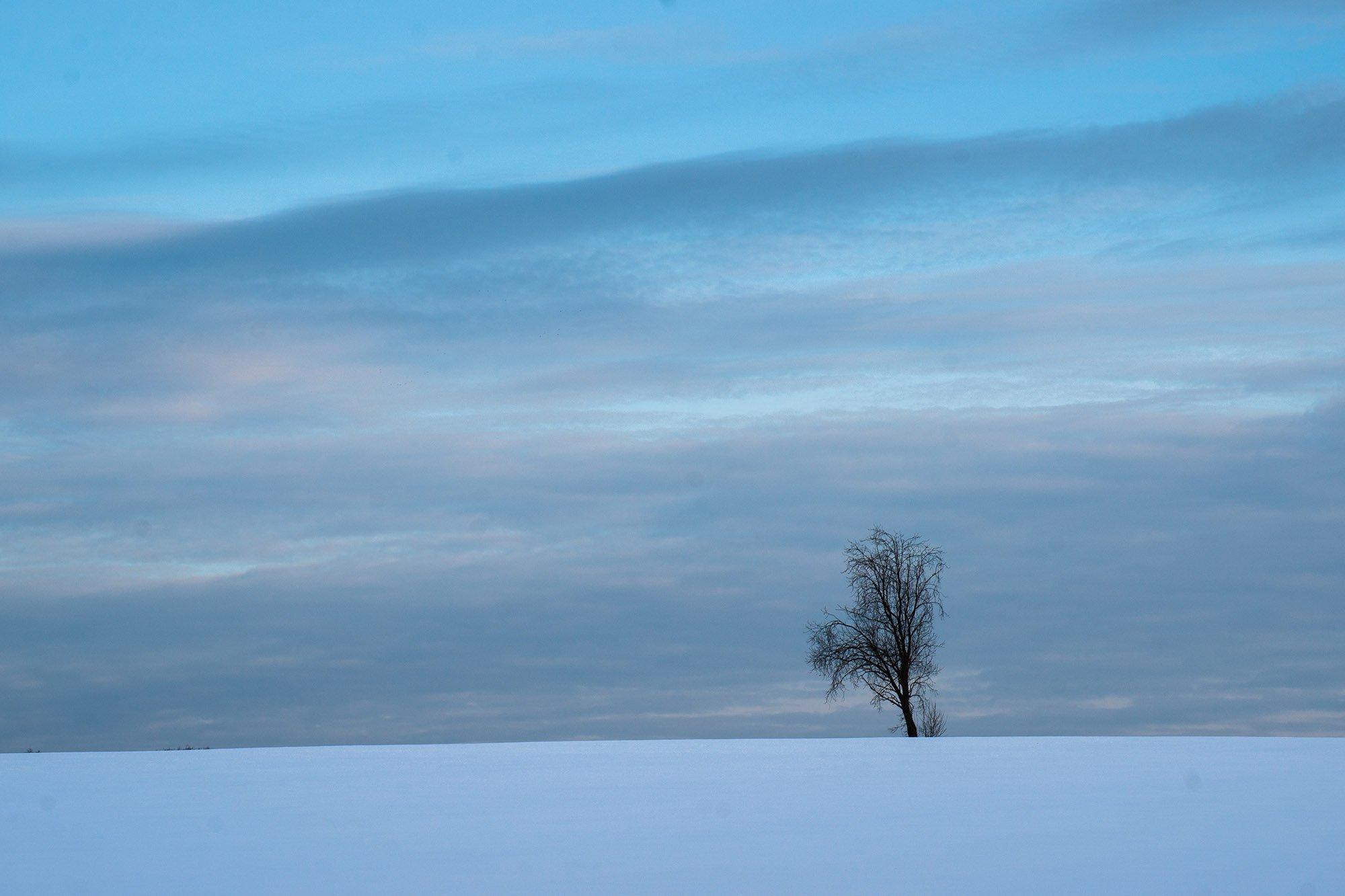 Наверное так выглядит одиночество. . . #loneliness #winter #snow  #blackandwhite #baw #contrast #minimal #simplicity #regiontut #belinsta  #insaminsk #vsco #vscocam #vscogram #vscowinter #belarusonelove #одиночество  #чернобелое #контраст #зима #снег ...