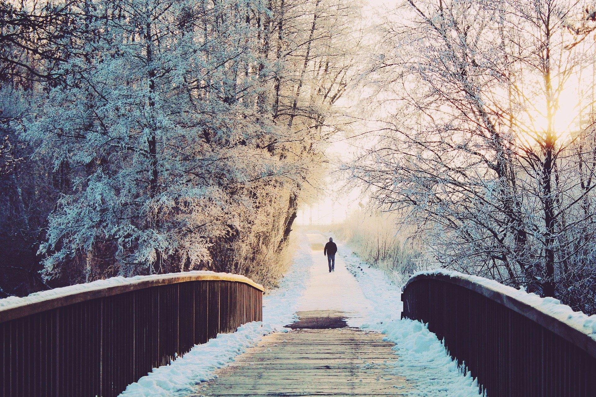 Одиночество / Loneliness | Снег пушистый, Свет и тени. Одино… | Flickr