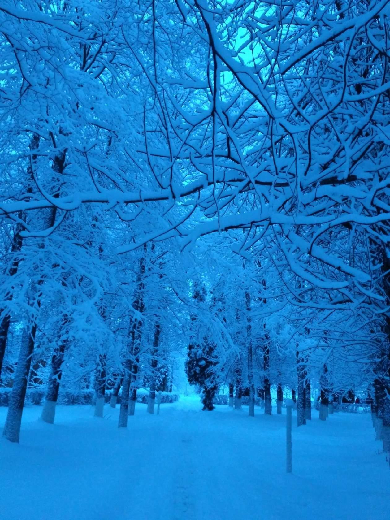 Ночь, зима, падает снег - обои на телефон