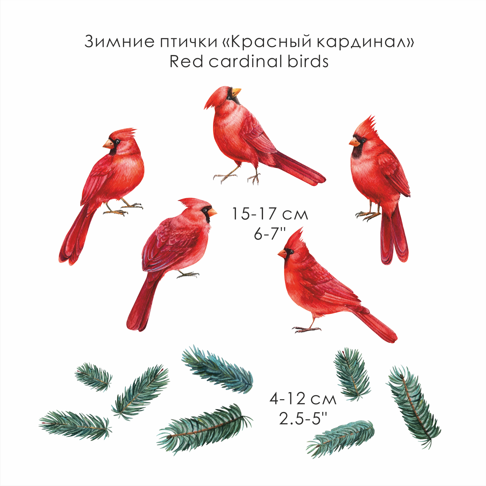 Зимние птицы России. Фотограф vladilenoff