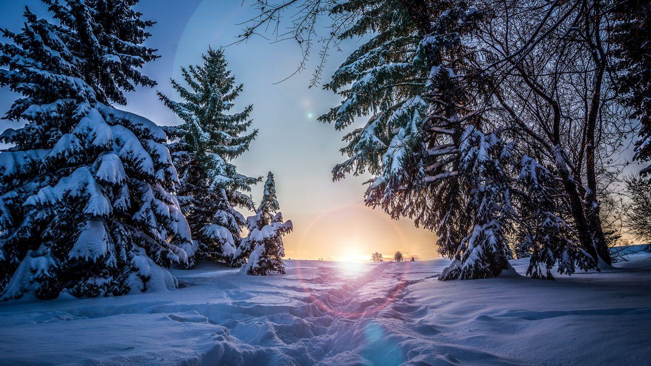 Обои зима, снег, солнечный свет, тропинка, деревья картинки на рабочий стол,  фото скачать бесплатно