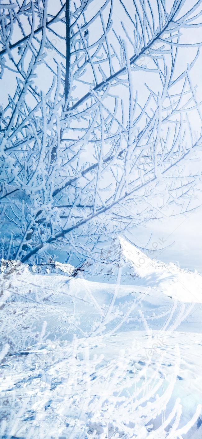 Крутые картинка на рабочий стол: Зима, Природа, Снег | Бесплатные Лучшие  обои