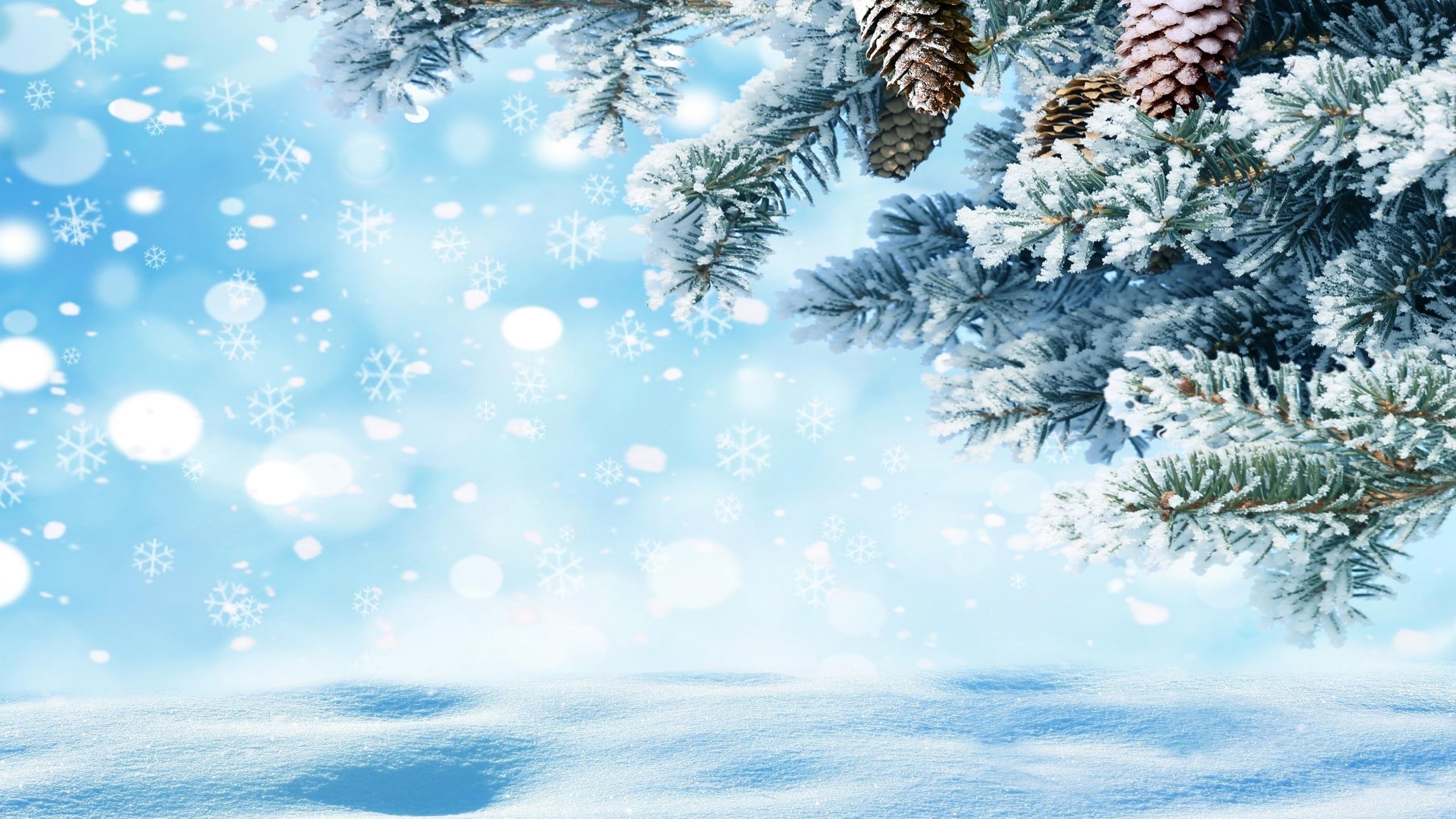 Картинки зима снег новый год фотографии