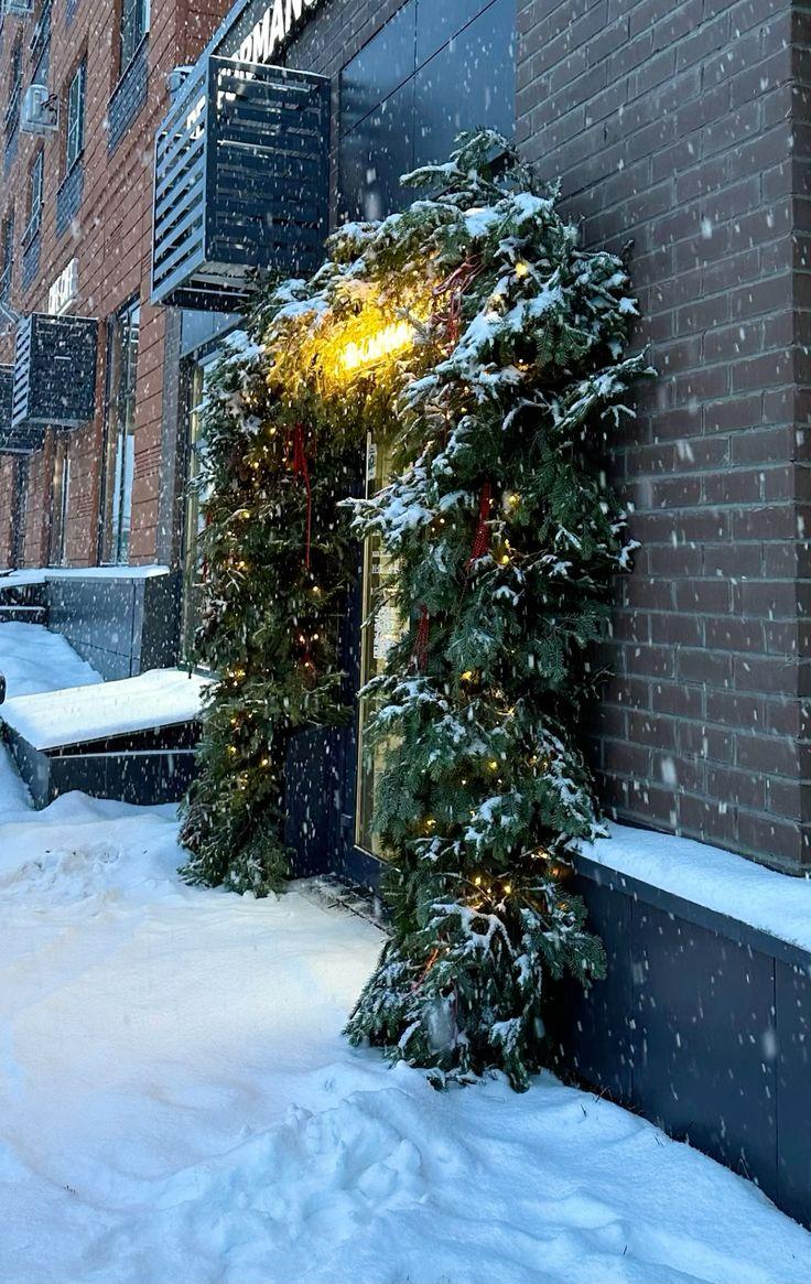 Картинки зима, снег, ель, шишки, блики,новый год,красиво - обои 2560x1440,  картинка №158379