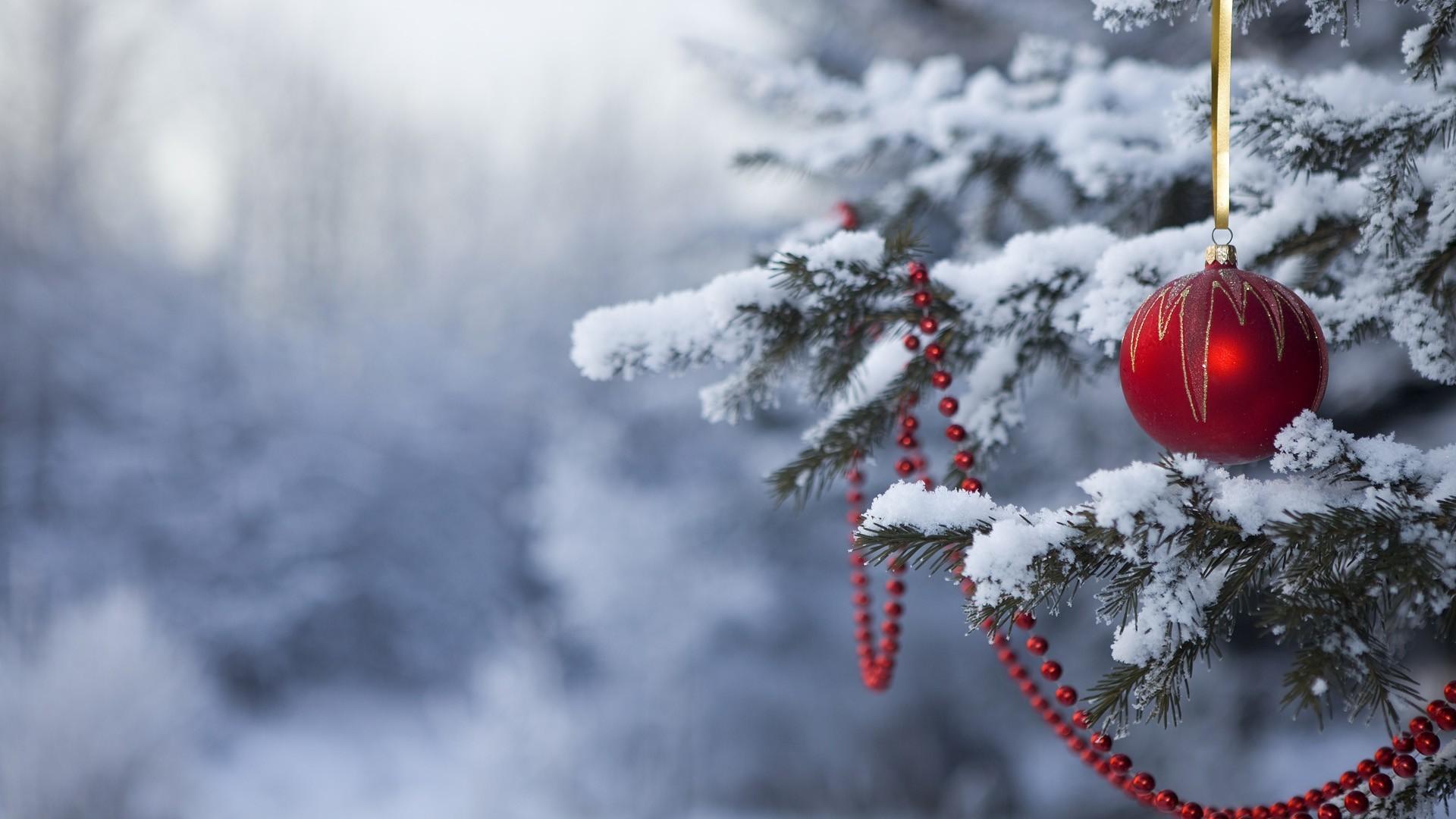 Зима Снег Новый год Рождество Новогодние обои Merry Christmas Happy new  year Зимние обои в 2023 г | Рождество, Новый год, Снег